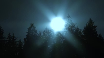 Wall Mural - Sun drops behind tall forest trees on eerie blue sky night, 4K time lapse.