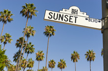 Sunset Boulevard Street Sign With Palm Trees In The Background