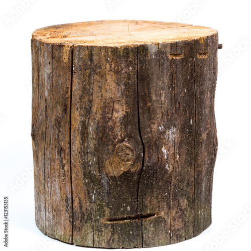 Photographie log isolated on a white background