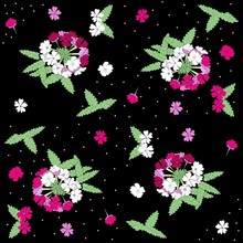 Endless Vector Pattern With White And Pink Verbena Flower, Leaves And Polka Dot On Black Background.