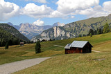 Fototapeta  - Val San Nicolò; sullo sfondo il Catinaccio; Dolomiti di Fassa