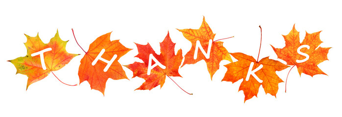 Wall Mural - Happy Thanksgiving Day. Autumn leaves with text isolated on white