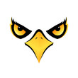 eagle head on white background vector icon eps10
