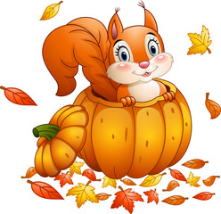 Wall Mural - Cute squirrel in a pumpkin