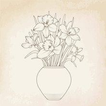 Narcissus Daffodil Flowerpot Vase. Isolated Spring Bouquet Outline. Beige Retro Vintage Paper Background.