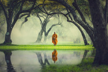 Monk Hike In Deep Forest Reflection With Lake, Buddha Religion C
