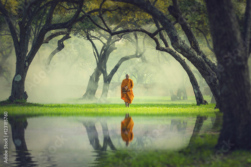 Cuadros en Lienzo Monk hike in deep forest reflection with lake, Buddha Religion c