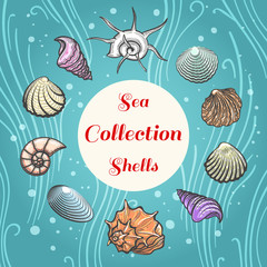 Wall Mural - Sea shells hand drawn illustration. Beach aquatic vector shell composition with text