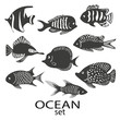 Fish silhouettes set. Collection of black and white sea fish isolated on white background. Vector illustration.