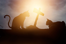 Two Silhouette Cats Were Crouching At  The Tomb Of It Friend 