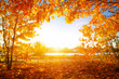 canvas print picture -  autumn trees on sun