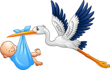 Cartoon Stork With Baby Boy