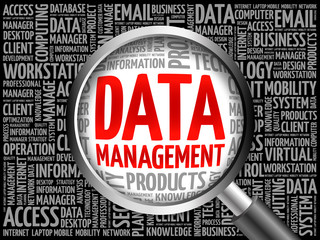 Poster - Data Management word cloud with magnifying glass, business concept 3D illustration
