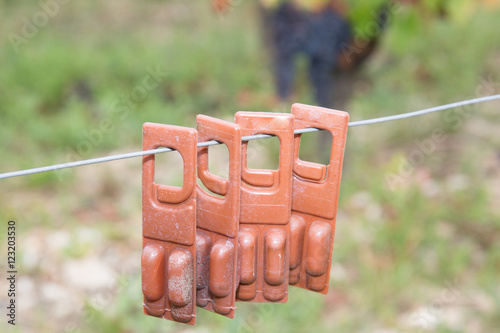 Fotografie, Obraz Bio controlled farming wineyards with a new method