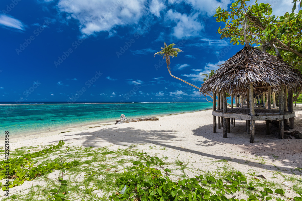 Tropical vibrant beach on Samoa Island with palm tree and fale - obrazy, fototapety, plakaty 