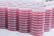 © Connect Images - Stacks of petri dishes
