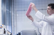 © Connect Images - Scientist holding up stack of petri dishes in laboratory
