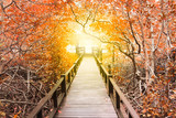 Fototapeta Most - The wooden bridge among beautiful orange trees to the sun light 