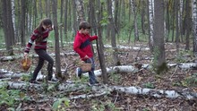Kids Walking In The Forest And Looking For Mushrooms