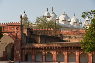 Fototapete - Red Fort  located in Agra, India.