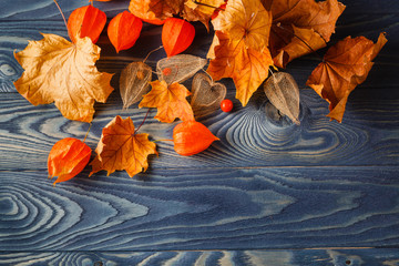 Sticker - autumn leaf backgound on blue wooden table