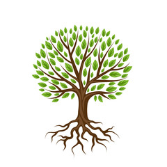 abstract stylized tree with roots and leaves. natural illustration
