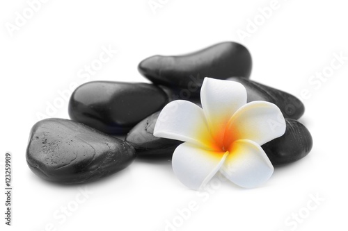 Naklejka - mata magnetyczna na lodówkę zen basalt stones and Frangipani isolated on white