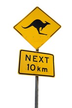 Kangaroo Warning Sign