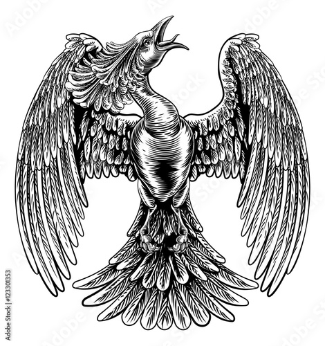 Phoenix Fire Bird in Vintag...