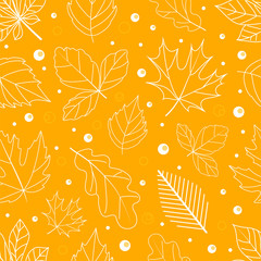 Poster - Autumn seamless vector pattern. Fall leaves collection