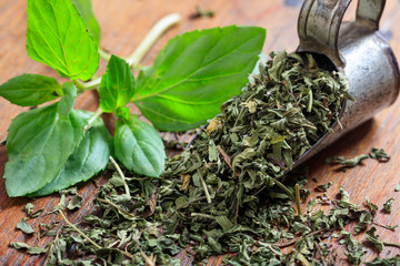 Fresh and dried mint on a wooden surface