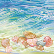 Beautiful seashells on a waves background.