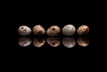 Five Quail Eggs On Black Reflective Background