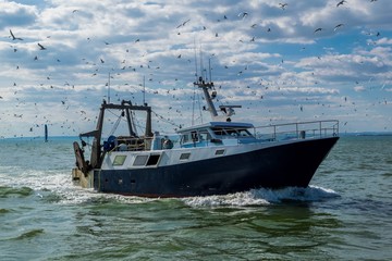 Chalutier rentrant de la pêche.