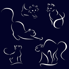 cat abstract lines on a dark background vector