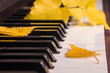 Autumn leaves the keys on piano