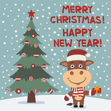 Merry Christmas And Happy New Year! Funny Cow With Gift Near Christmas Tree. Card In Cartoon Style.
