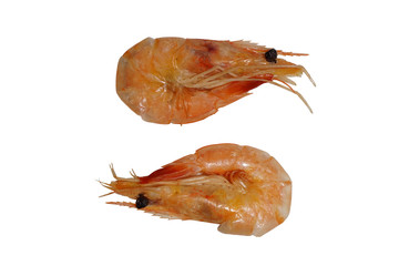  boiled shrimp