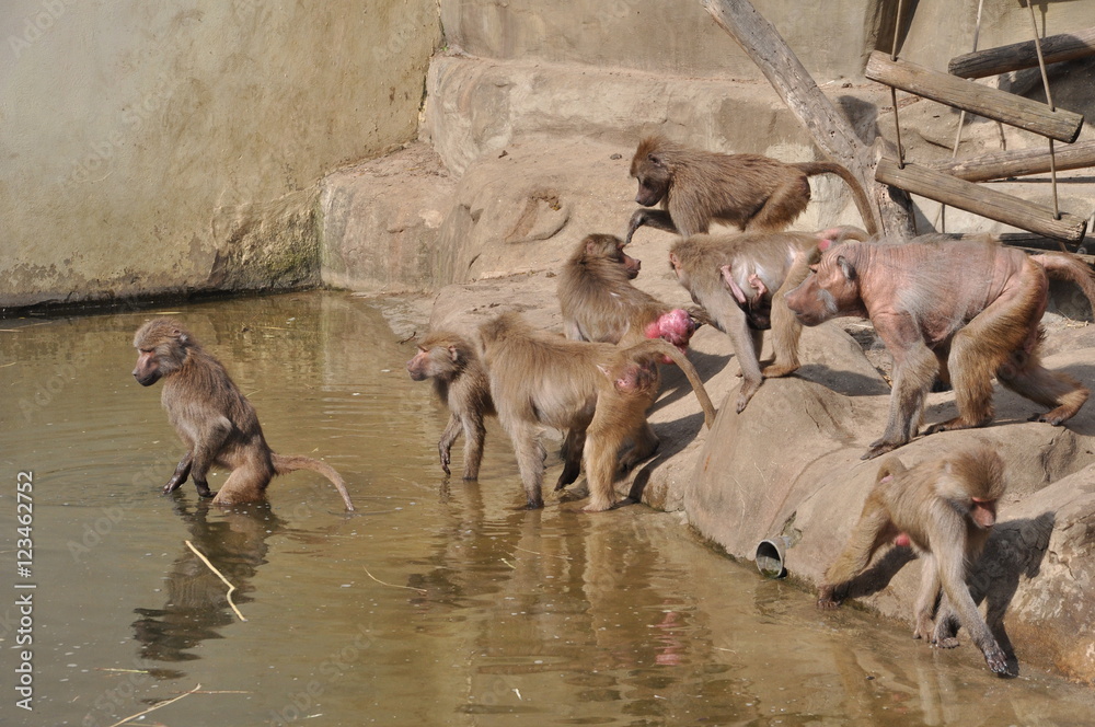 ���� ������������ � �������, ����� ������ ���� �������� ����