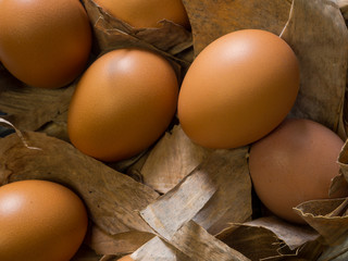 Organic egg on dried leaf