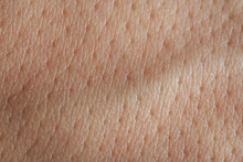 Pores On Man Skin