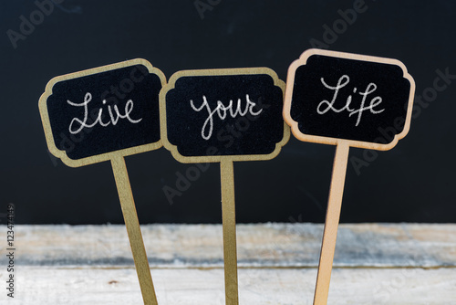 Fotografie, Obraz Motivational message Live Your Life written with chalk