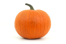 Orange Pumpkin On White Background For Halloween Or Thanksgiving
