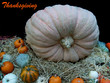Abstract creative thanksgiving pumpkin greeting scene 