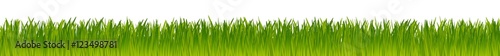 Fotomural green realistic vector grass meadow isolated on white background