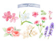 Flower watercolor elements