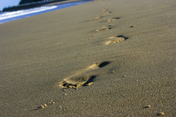 Wall Mural - My Footprint