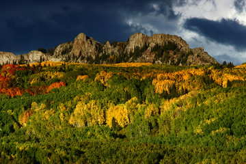 Wall Mural - Kebler Pass In Autumn