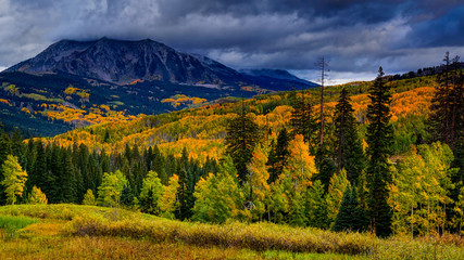 Wall Mural - Autumn's Coat Of Colors