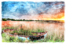 Boat In The Reeds